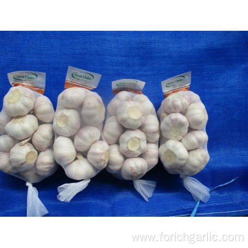 Size 5.0 New Crop Fresh Normal White Garlic